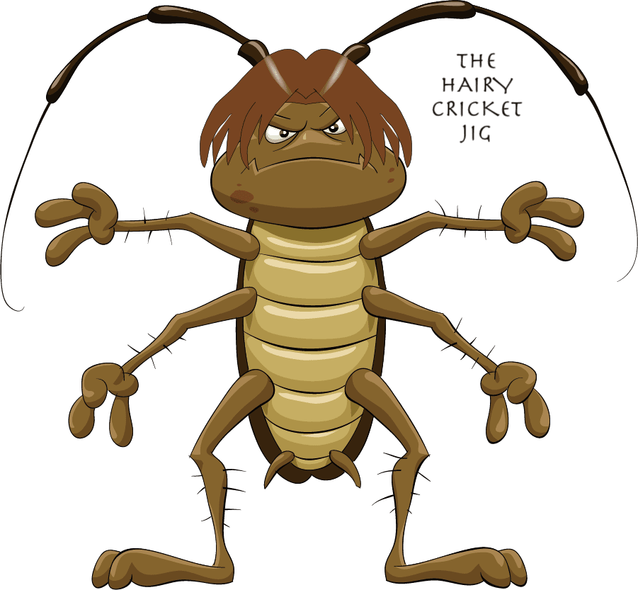 HAIRY CRICKET JIG - Image 3