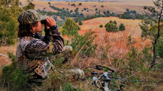 Badland Mule Deer